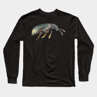 Very small fungus beetle under the microscope Long Sleeve T-Shirt